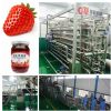 strawberry jam processing line